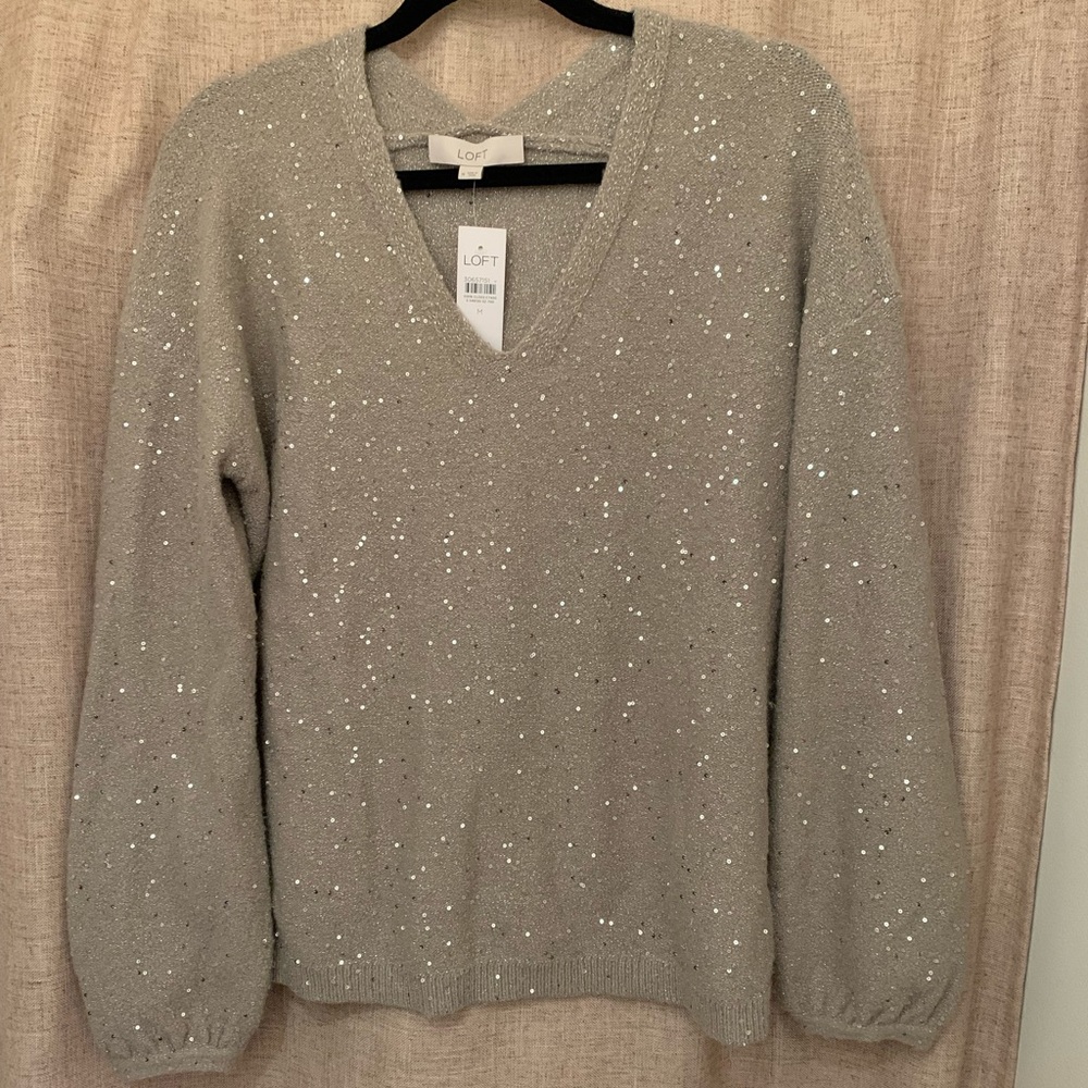New with tags loft Sequin Double V Sweater